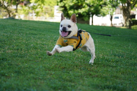 DSC05094