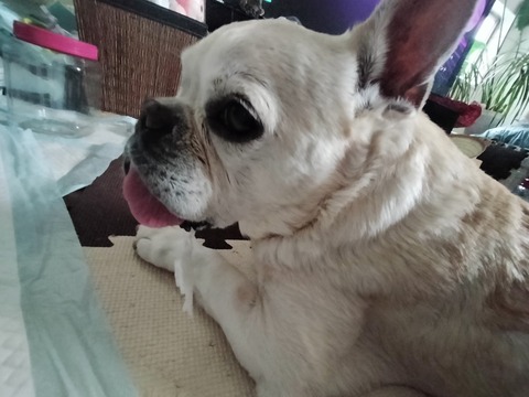 IMG20260703172743
