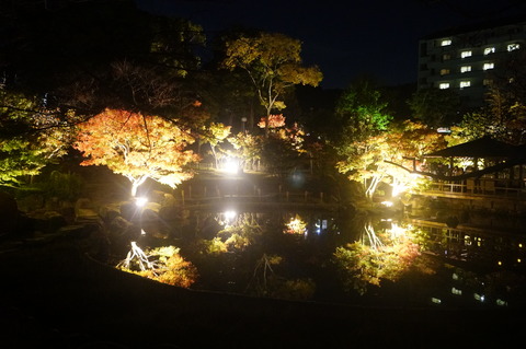 DSC03331