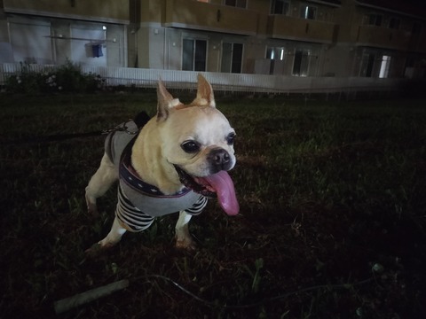 IMG20260709210142