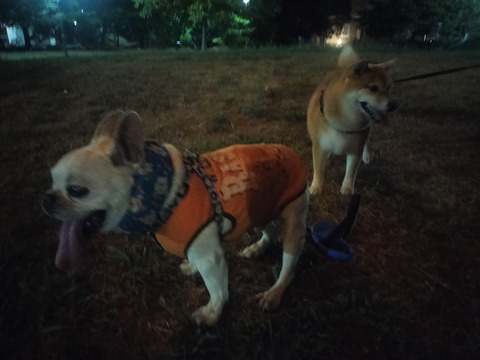 IMG20260826200413