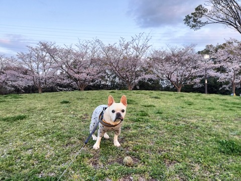 IMG20260402180416