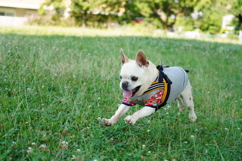 DSC03941