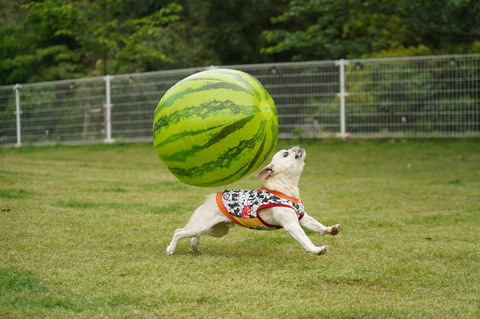 DSC05008