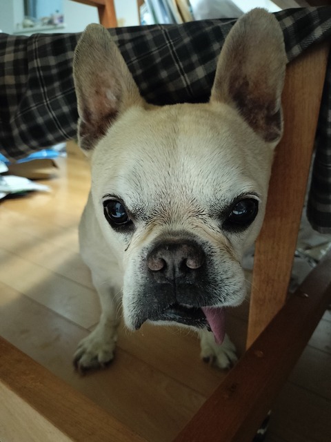 IMG20260716182427