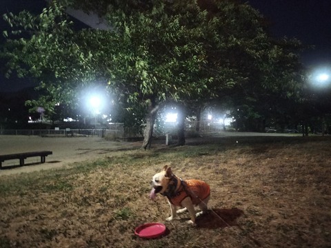 IMG20260826201153