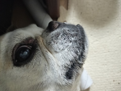IMG20260709192439