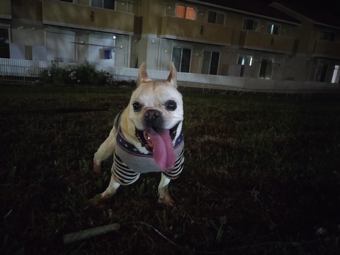 IMG20260709210152