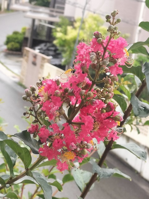 IMG20260706170928