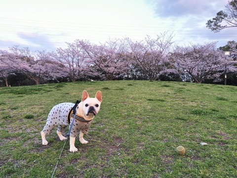 IMG20260402180354