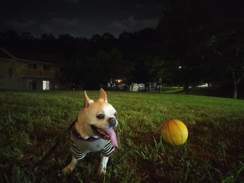 IMG20260709202956