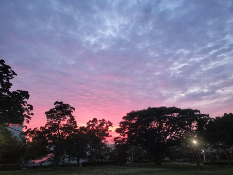 IMG20260712193020
