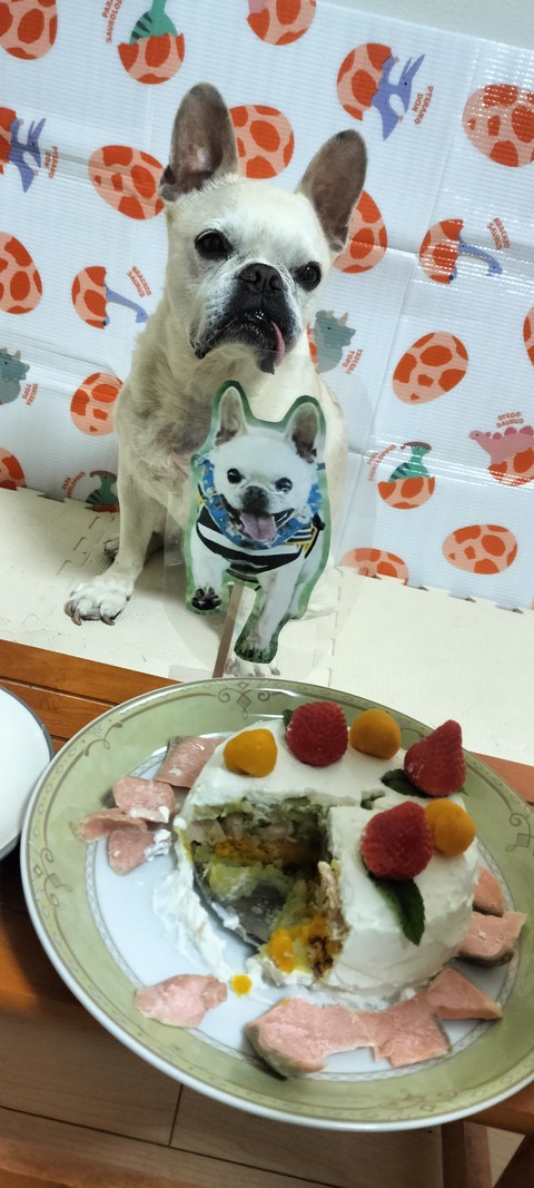 IMG20260429231250