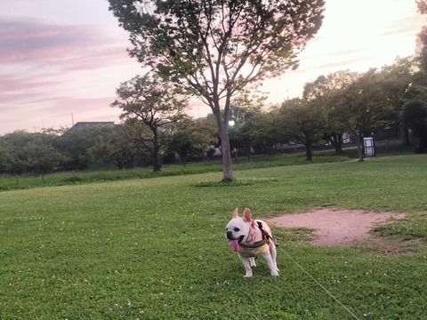 IMG20260713192342