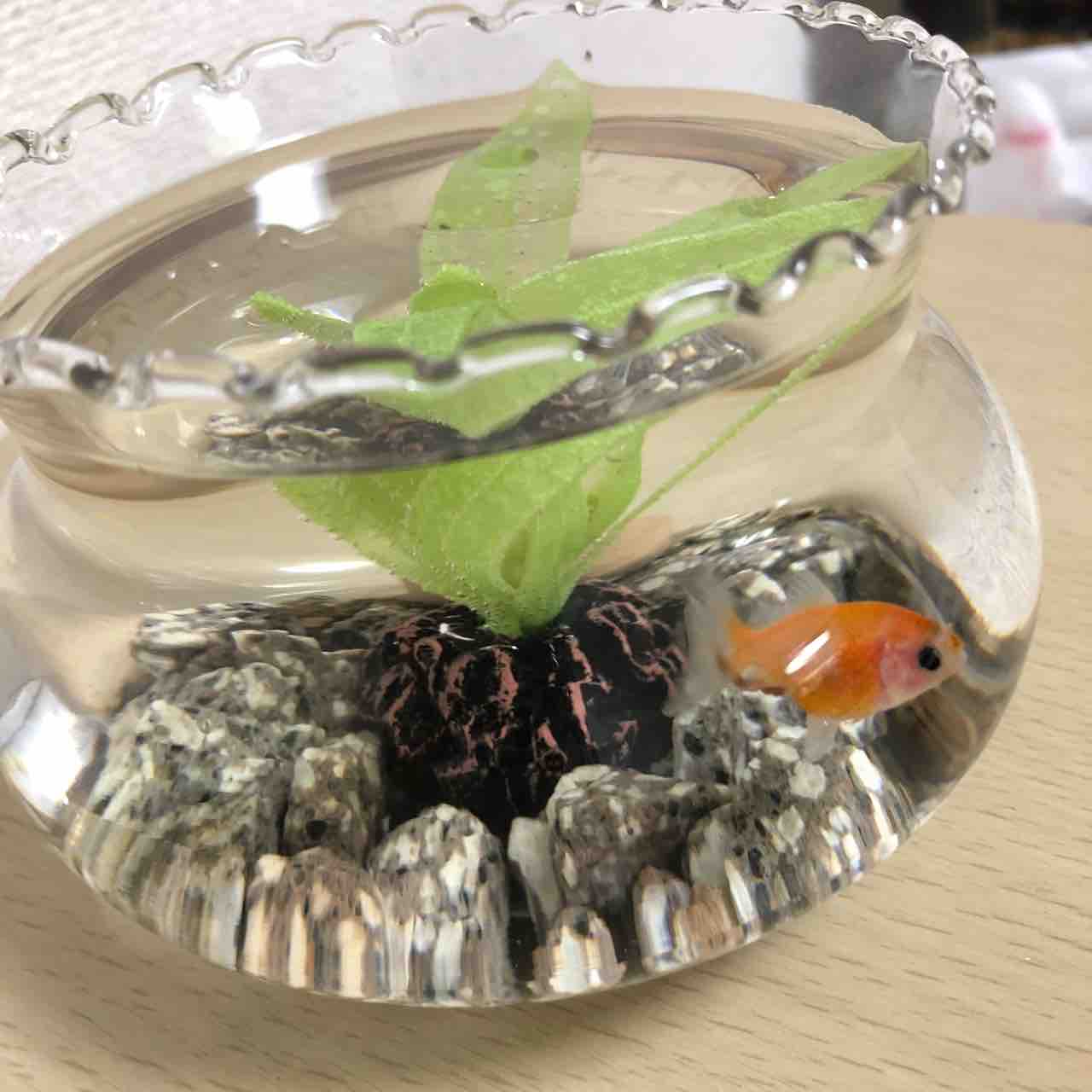 金魚鉢に金魚 今日は毎月恒例 川崎銀座街無料ライブ 小川エリ おおきにブログ