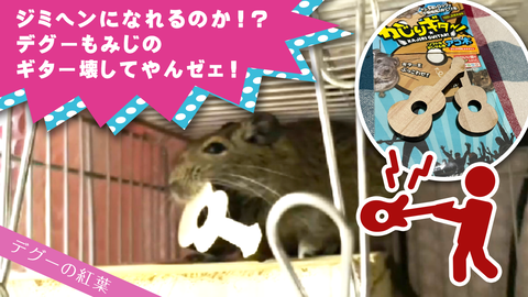 20201217サムネイル