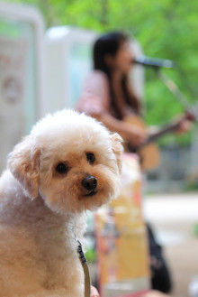 $小川 エリ的NO MUSIC! NO LIFE。
