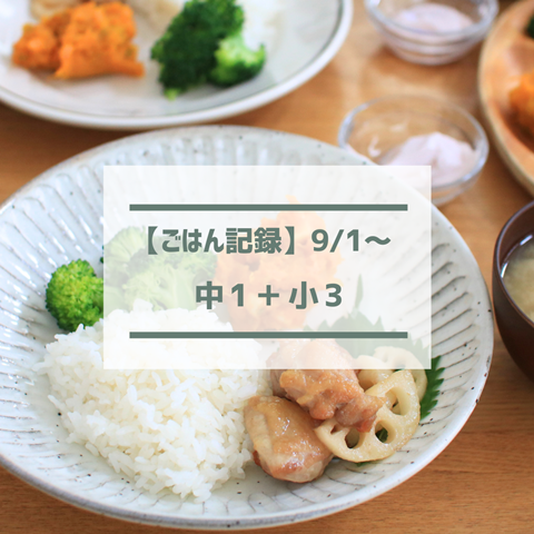 ごはん記録 (2)