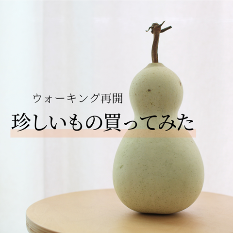 朝のウォーキング (1)