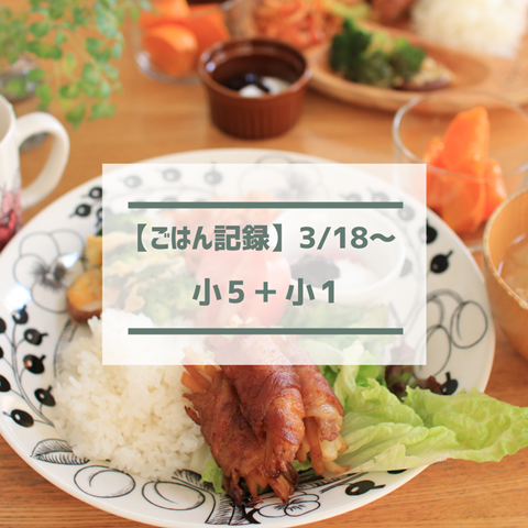 ごはん記録 (22)