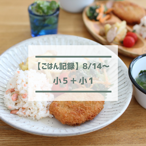 ごはん記録 (1)