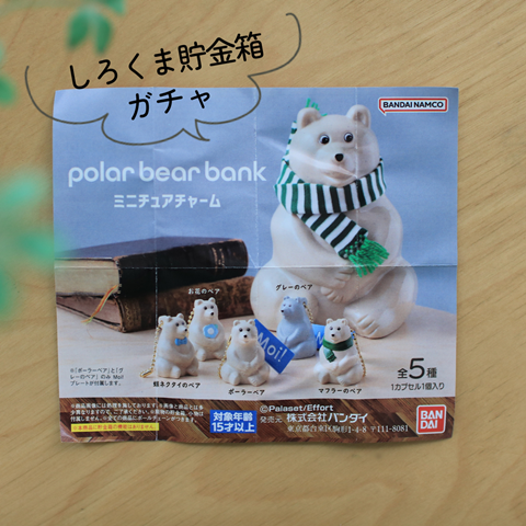 ガチャガチャ】諦めかけてたけど見つけた！「しろくま貯金箱」ガチャ