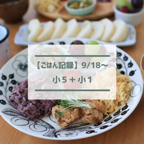 ごはん記録 (5)