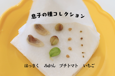フリー (23)