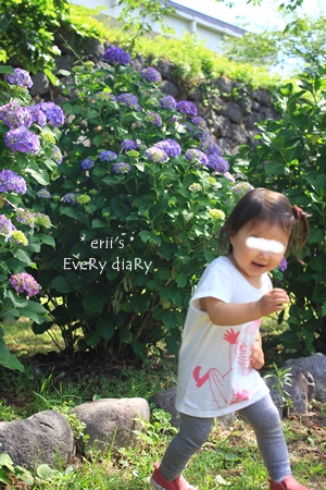 2014/6/23(月)