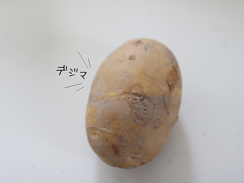 フリー (5)