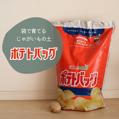 ポテトバッグ