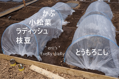 畑
