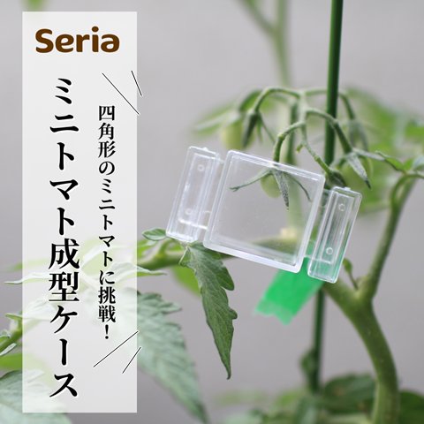セリア