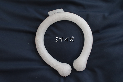 フリー (31)