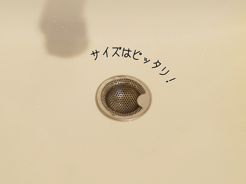 フリー (20)