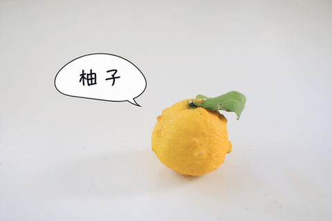 フリー