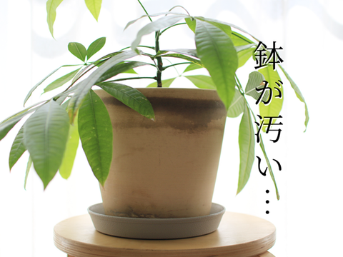 フリー (7)