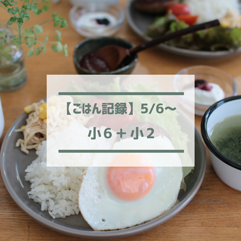 ごはん記録 (24)