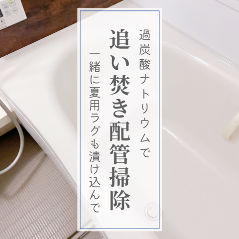 掃除過炭酸ナトリウム