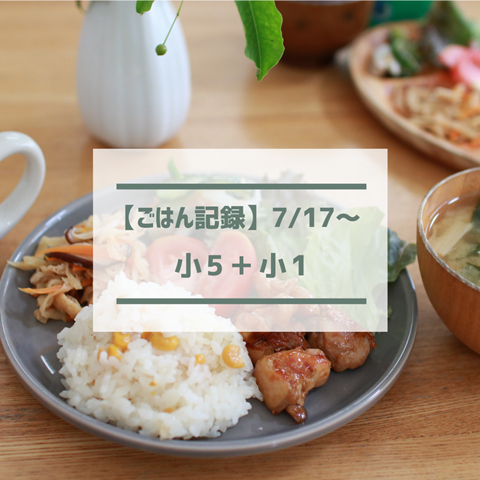 ごはん記録 (11)