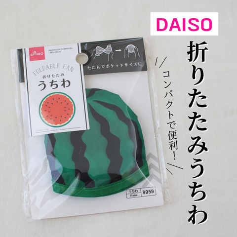 ダイソー (8)