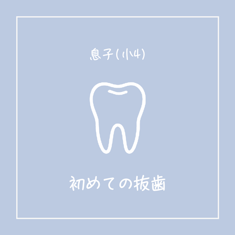 歯