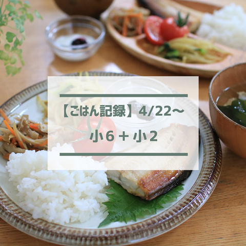 ごはん記録 (22)