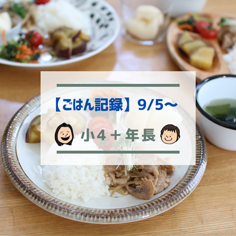 ごはん記録のコピー (14)