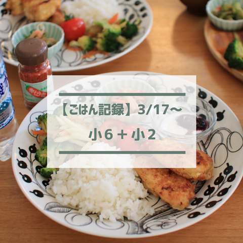 ごはん記録 (1)