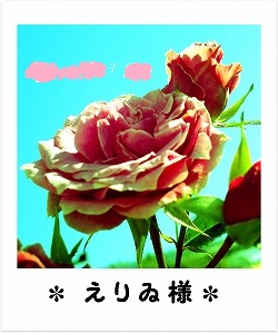 ばら
