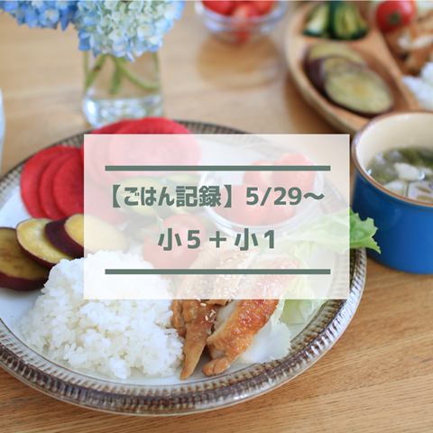 ごはん記録 (4)