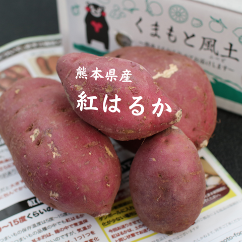 熊本県産 紅はるか