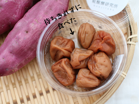 糀
