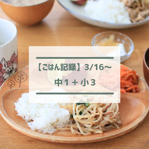 ごはん記録 (1)